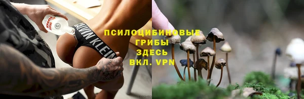 спиды Пестово