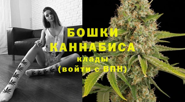 крисы Переславль-Залесский