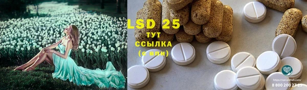 PSILOCYBIN Балабаново