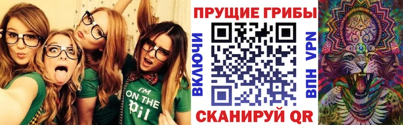 Галлюциногенные грибы мицелий  Пласт 